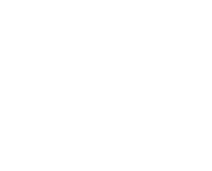 Logo Netbangers